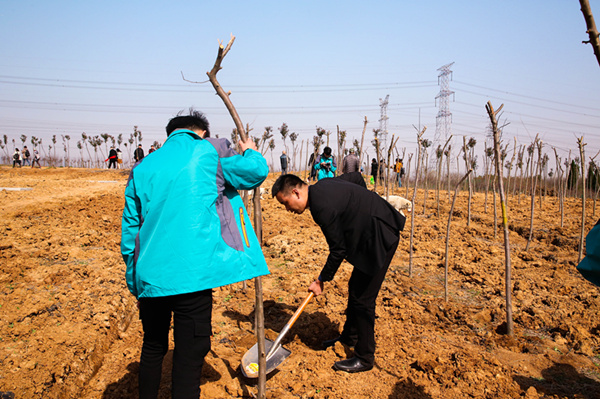“攜手植樹，共創(chuàng)藍天”丨南京新華師生共筑新華育才林