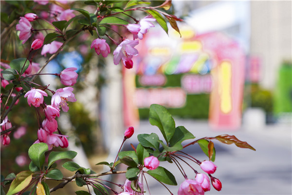 春暖花開，等你歸來——邀你云賞南新春景，以慰思念