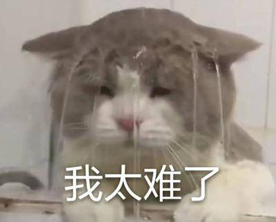 勁爆！新華電腦教育服務旗艦店正式入駐天貓，課程1折秒殺！