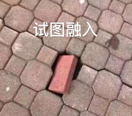 新華互聯(lián)網(wǎng)科技正式入駐Bilibili！會(huì)摩擦出什么樣火花呢？
